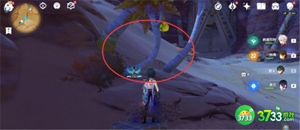 原神柽木最快采集路线一览