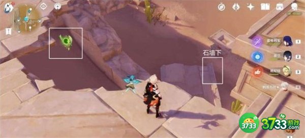 原神秘仪圣殿草神瞳位置一览