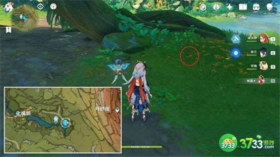 原神丛林树蛙位置大全