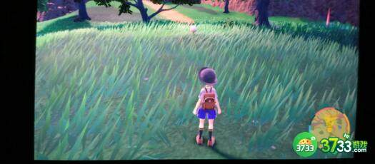 宝可梦朱紫闪光加成三明治配方材料大全