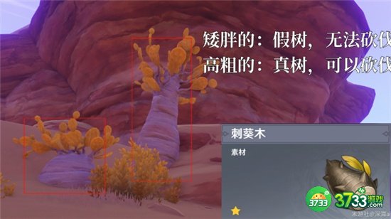 原神3.2须弥木材全收集攻略汇总