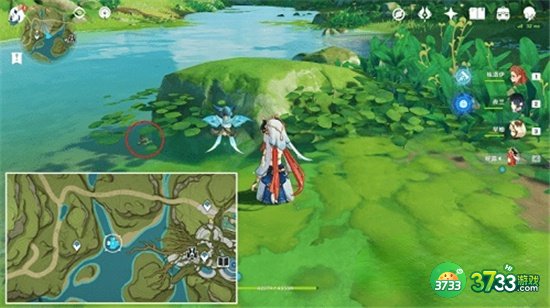 原神丛林树蛙位置大全