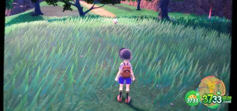 宝可梦朱紫未来种分布位置一览