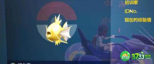 宝可梦朱紫学科考试问题答案大全