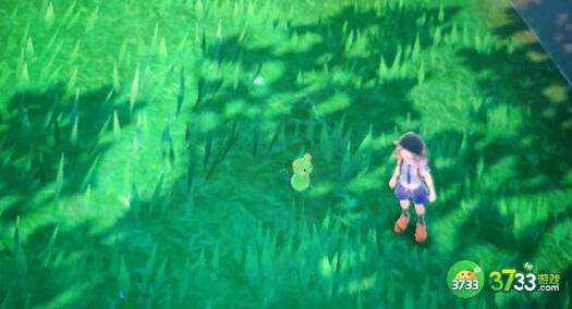 宝可梦朱紫PVP阵容搭配建议