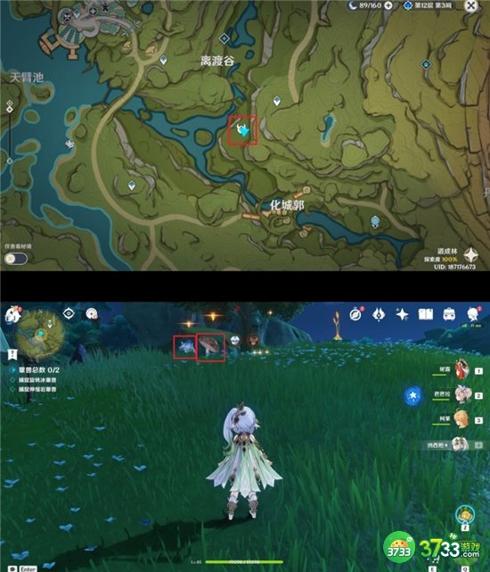 原神智巧灵蕈大竞逐第一天攻略最详细