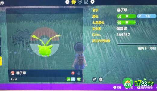 宝可梦朱紫阵容搭配推荐