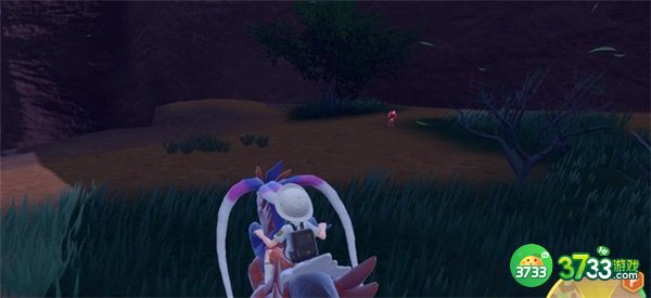 宝可梦朱紫炭小侍捕捉位置大全