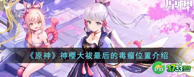 原神神樱大祓最后的毒瘤位置在哪-神樱大祓最后的毒瘤位置介绍