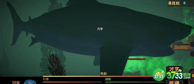 一只鱼鲨鱼打法详解