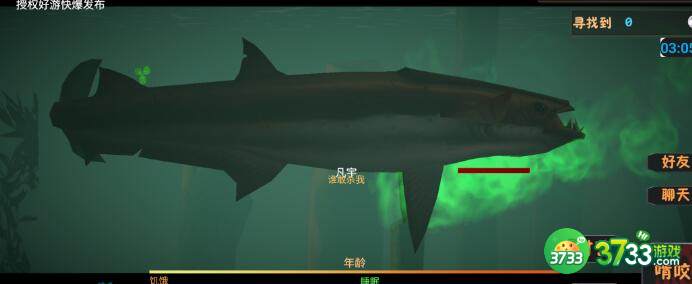 一只鱼鲨鱼刷新点大全