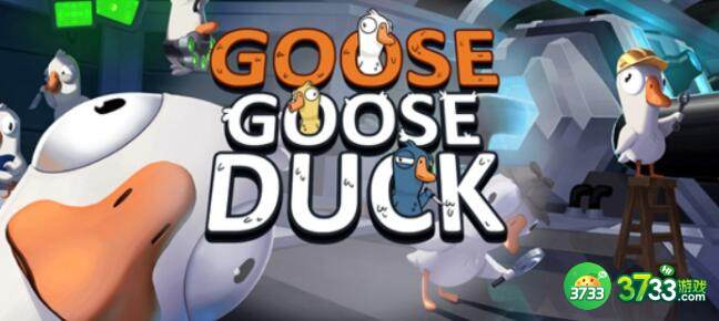 鹅鸭杀隐形玩法建议