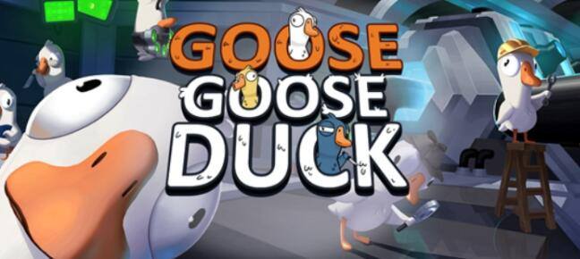 鹅鸭杀隐形玩法建议