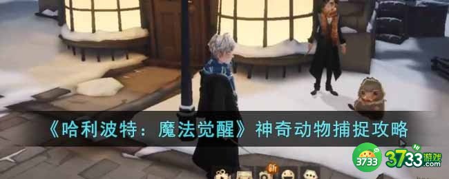 哈利波特魔法觉醒神奇动物在哪里捕捉-神奇动物捕捉攻略