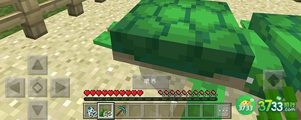 我的世界海龟蛋是什么-我的世界海龟蛋介绍