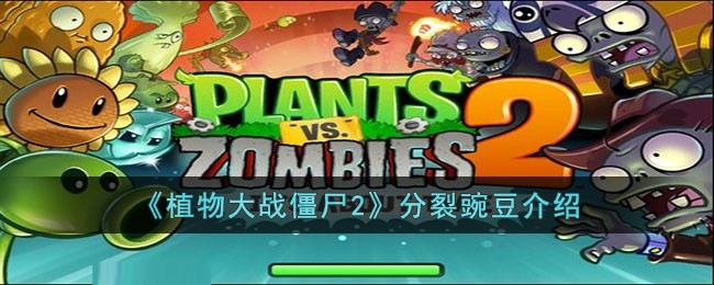 植物大战僵尸2分裂豌豆怎么样-植物大战僵尸2分裂豌豆介绍