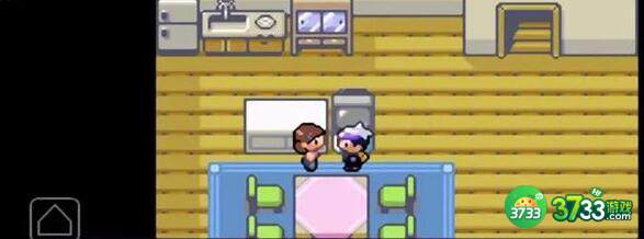 口袋妖怪漆黑的魅影宠物代码一览