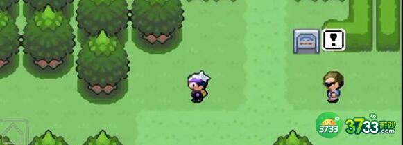 口袋妖怪漆黑的魅影宠物代码一览