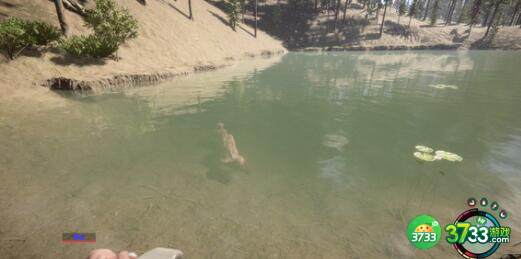 森林之子野人打法技巧