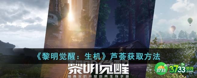 黎明觉醒生机芦荟怎么获得-芦荟获取方法