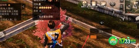 明日之后樱花怎么获得-樱花获取方法