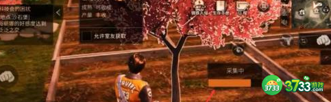 明日之后樱花怎么获得-樱花获取方法