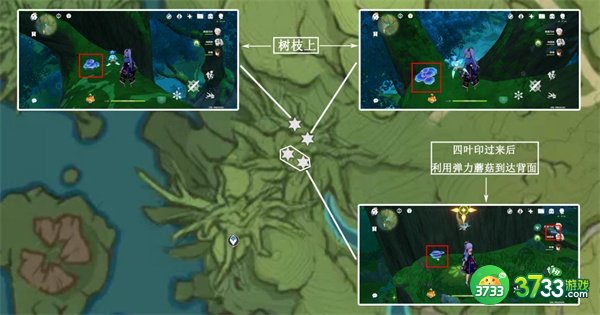 《原神》树王圣体菇采集地点一览