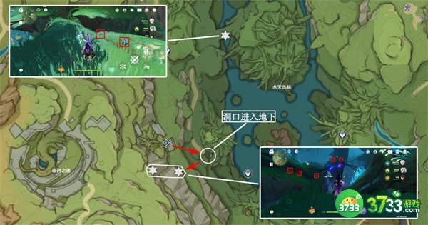 《原神》树王圣体菇采集地点一览