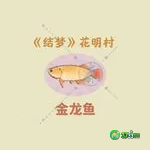 桃源深处有人家朱敬儒喜好什么-朱敬儒喜好一览