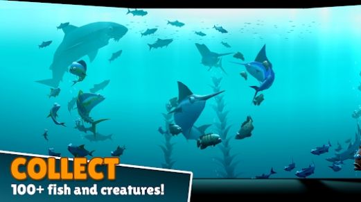 CreaturesoftheDeep