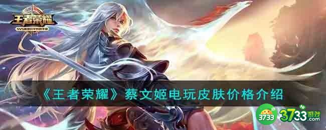 王者荣耀蔡文姬电玩皮肤多少钱-蔡文姬电玩皮肤价格介绍