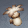 慕风蘑菇