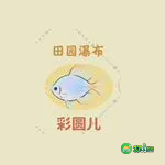 桃源深处有人家朱敬儒喜好什么-朱敬儒喜好一览