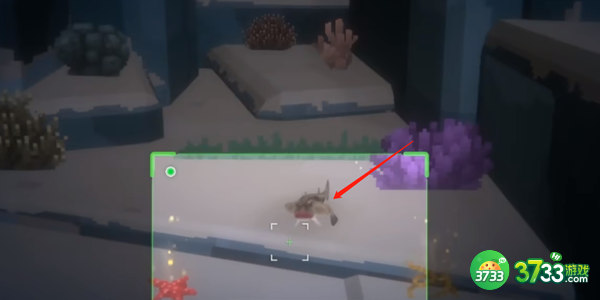 潜水员戴夫红唇蝙蝠鱼怎么抓-红唇蝙蝠鱼抓捕攻略