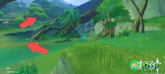 原神琉形蜃境欢兴礼卷宝箱获取攻略