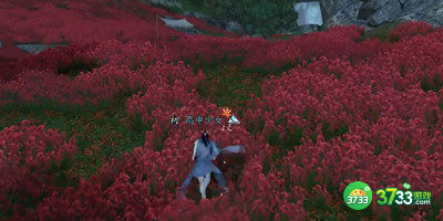 逆水寒手游昔年鹰唳怎么打-昔年鹰唳打法介绍