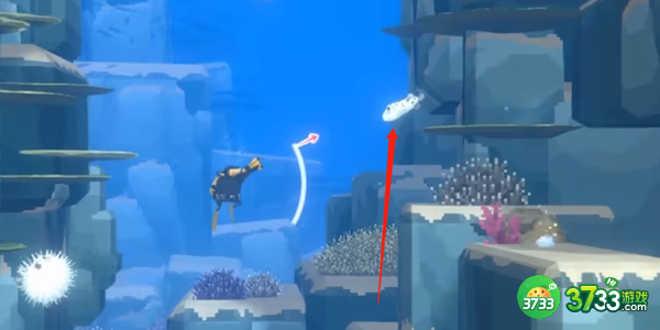 潜水员戴夫星斑叉鼻鲀怎么抓-星斑叉鼻鲀抓捕攻略