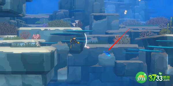 潜水员戴夫红牙鳞鲀怎么抓-红牙鳞鲀抓捕攻略