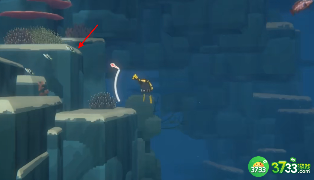 潜水员戴夫纹首鮨怎么抓-纹首鮨抓捕攻略