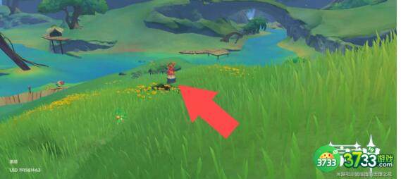 原神琉形蜃境欢兴礼卷宝箱获取攻略