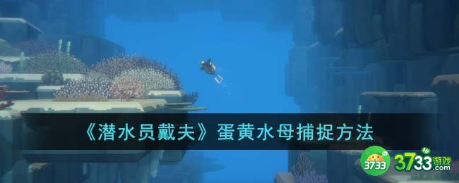 潜水员戴夫蛋黄水母怎么捕-蛋黄水母捕捉方法
