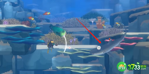 潜水员戴夫三齿鲨怎么抓-三齿鲨抓捕攻略