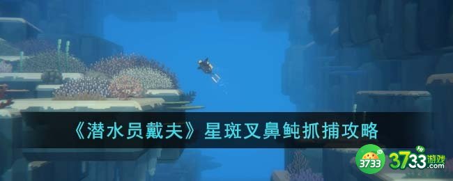 潜水员戴夫星斑叉鼻鲀怎么抓-星斑叉鼻鲀抓捕攻略