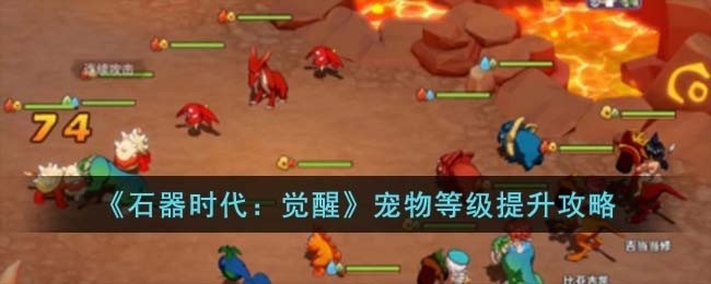 石器时代觉醒宠物等级怎么提升-宠物等级提升攻略