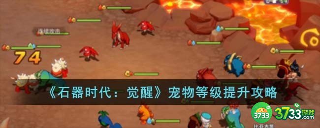 石器时代觉醒宠物等级怎么提升-宠物等级提升攻略