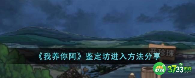 我养你阿鉴定坊怎么进入-鉴定坊进入方法分享