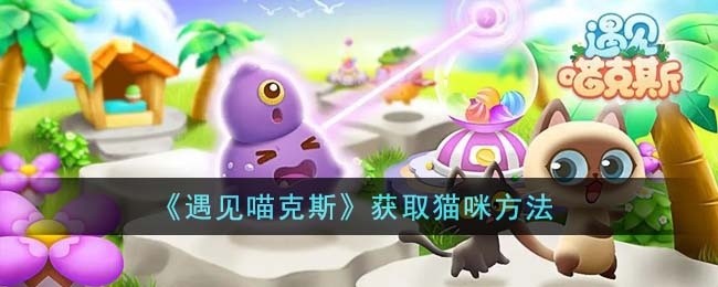 遇见喵克斯怎么获取猫咪-获取猫咪方法