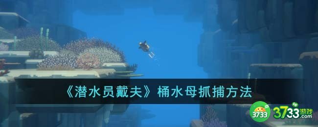 潜水员戴夫桶水母怎么抓-桶水母抓捕方法