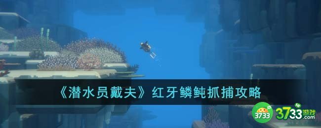 潜水员戴夫红牙鳞鲀怎么抓-红牙鳞鲀抓捕攻略