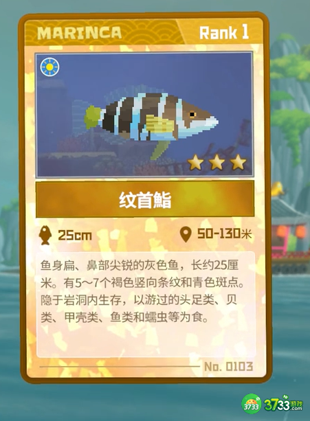 潜水员戴夫纹首鮨怎么抓-纹首鮨抓捕攻略